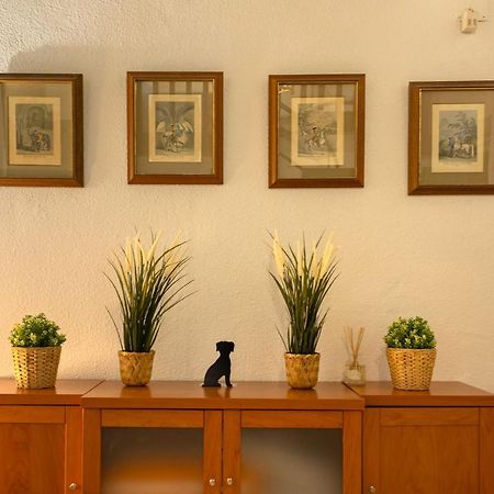 Apartamento Siglo De Oro Севилья Экстерьер фото